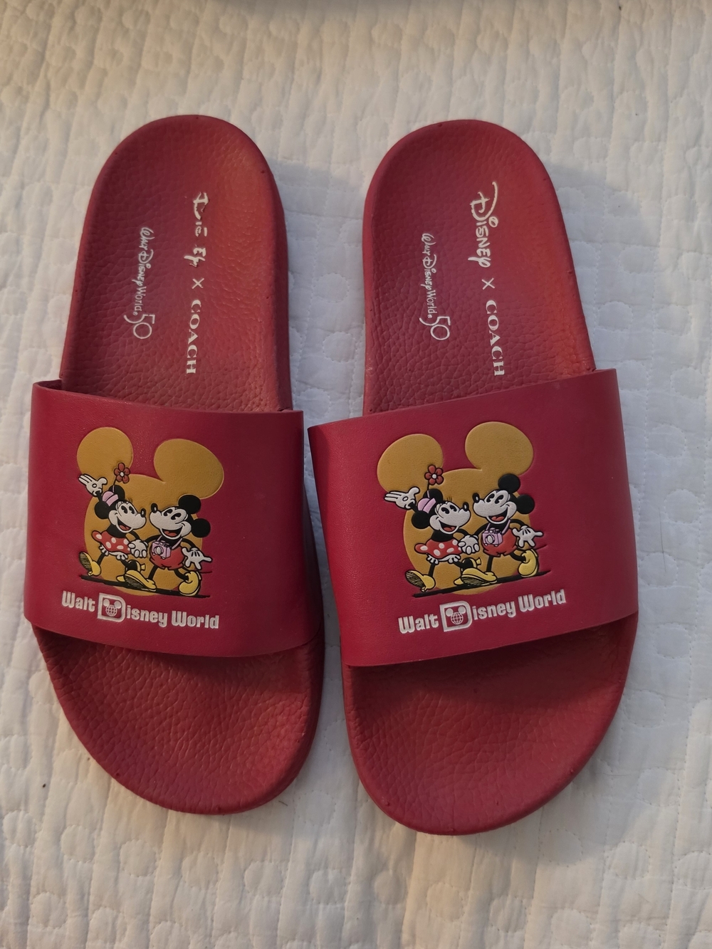 Coach Disney Slides